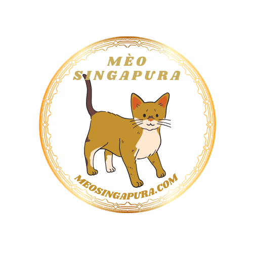 Mèo Singapura